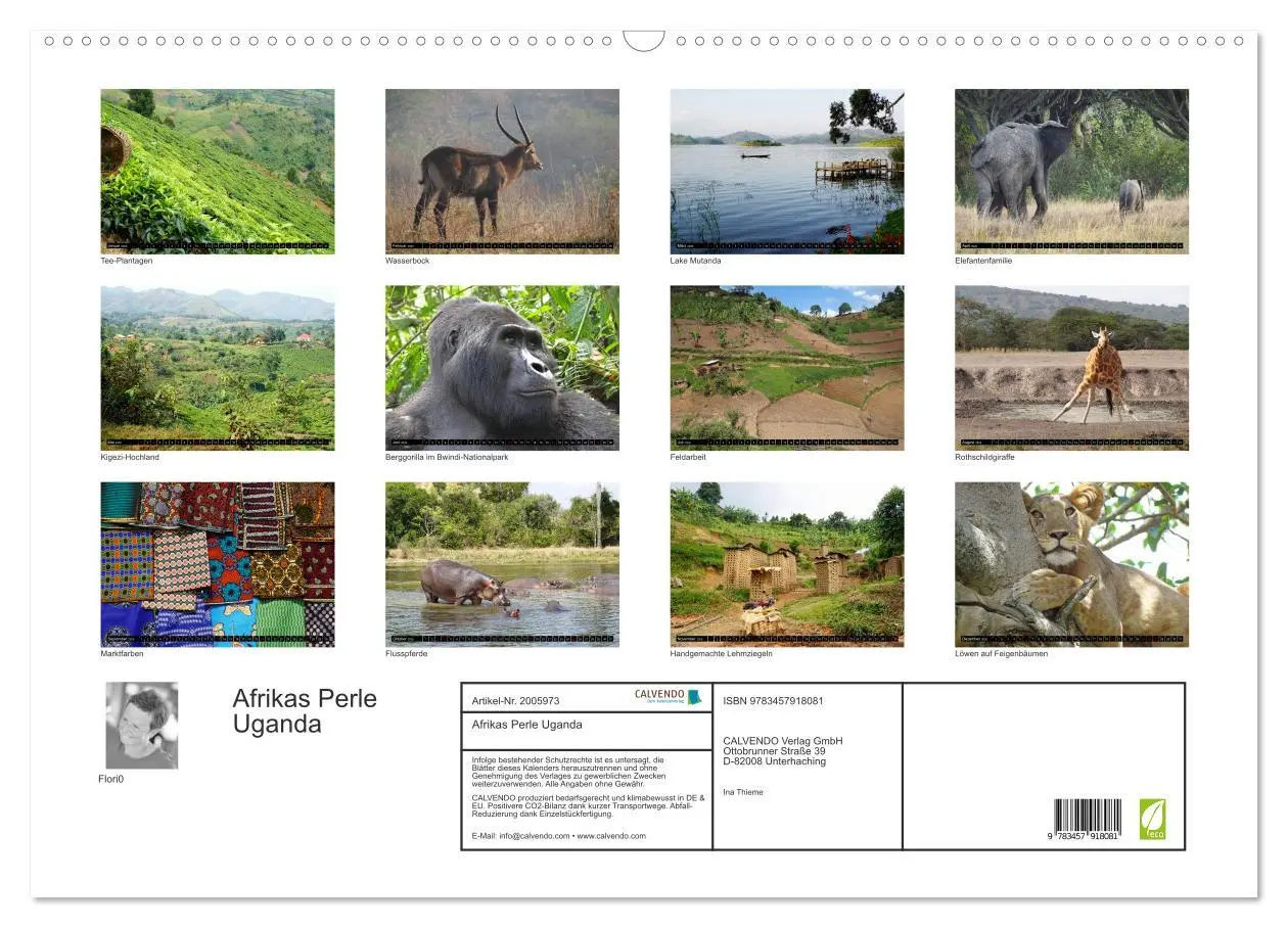 Bild: 9783457918081 | Afrikas Perle Uganda (Wandkalender 2026 DIN A2 quer), CALVENDO...
