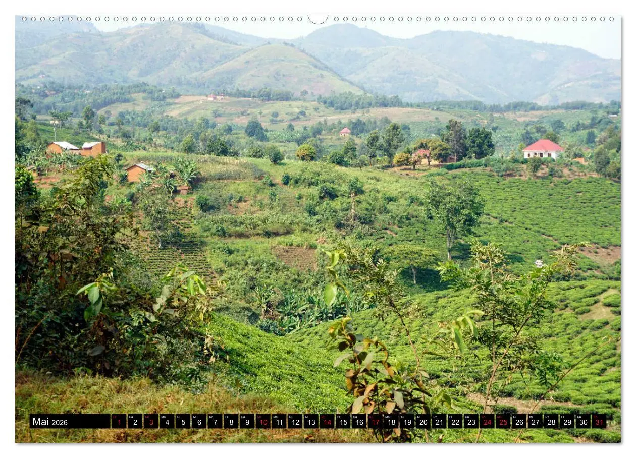 Bild: 9783457918081 | Afrikas Perle Uganda (Wandkalender 2026 DIN A2 quer), CALVENDO...