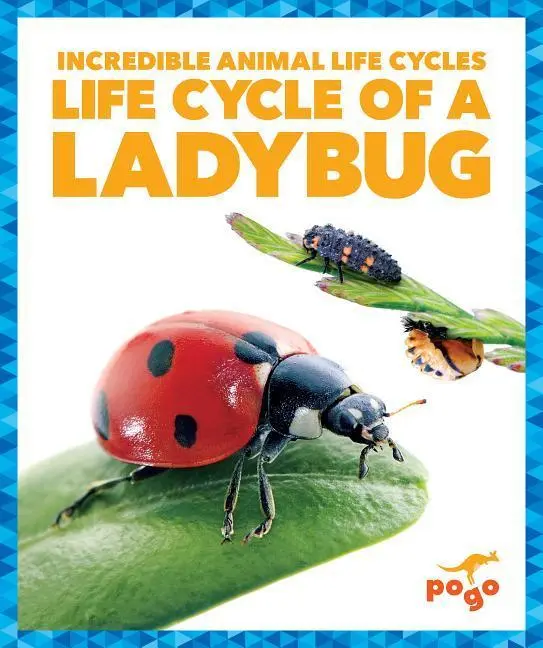 Cover: 9781624968181 | Life Cycle of a Ladybug | Karen Kenney | Buch | Gebunden | Englisch