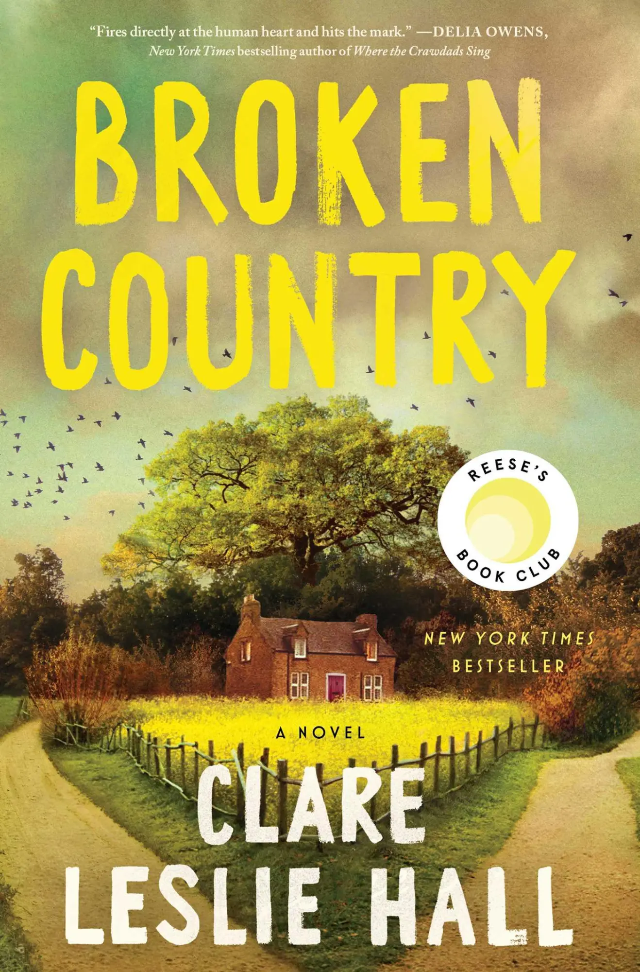 Cover: 9781668078181 | Broken Country (Reese's Book Club) | Clare Leslie Hall | Buch | 2025