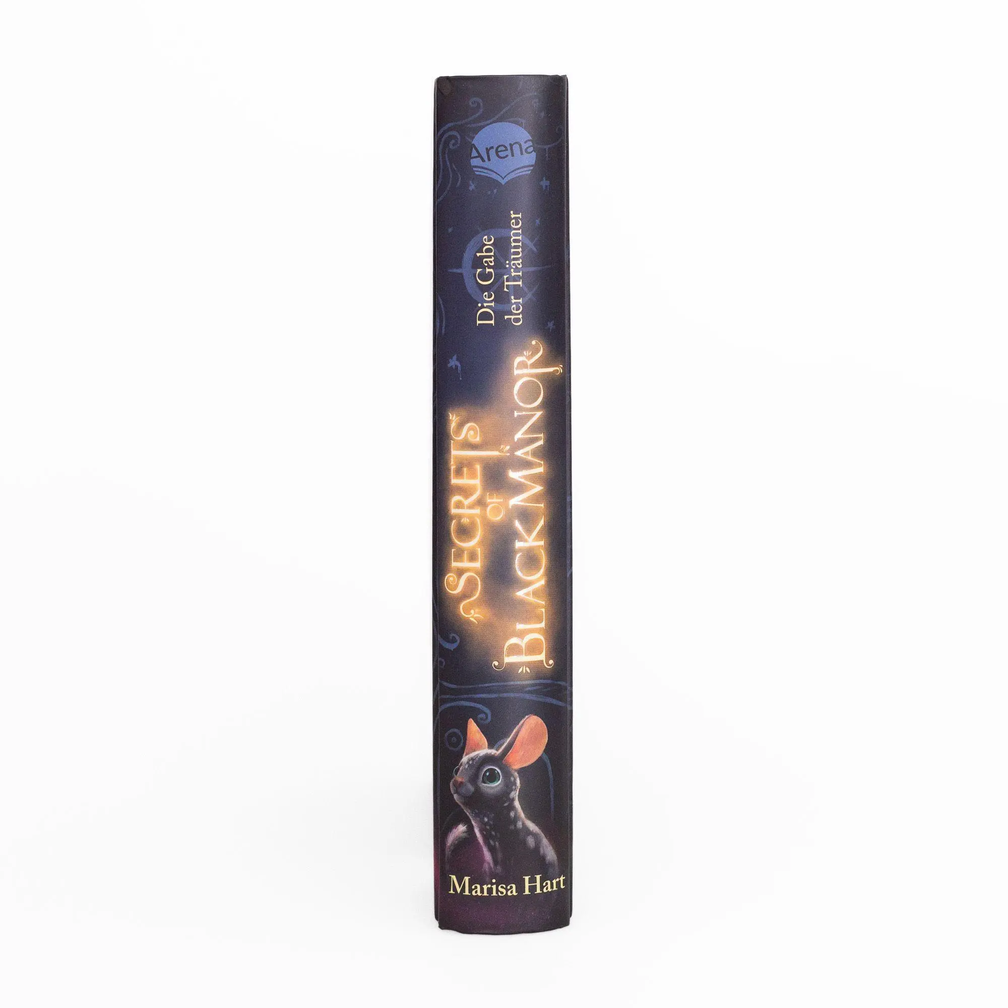 Bild: 9783401608181 | Secrets of Black Manor (1). Die Gabe der Träumer | Marisa Hart | Buch