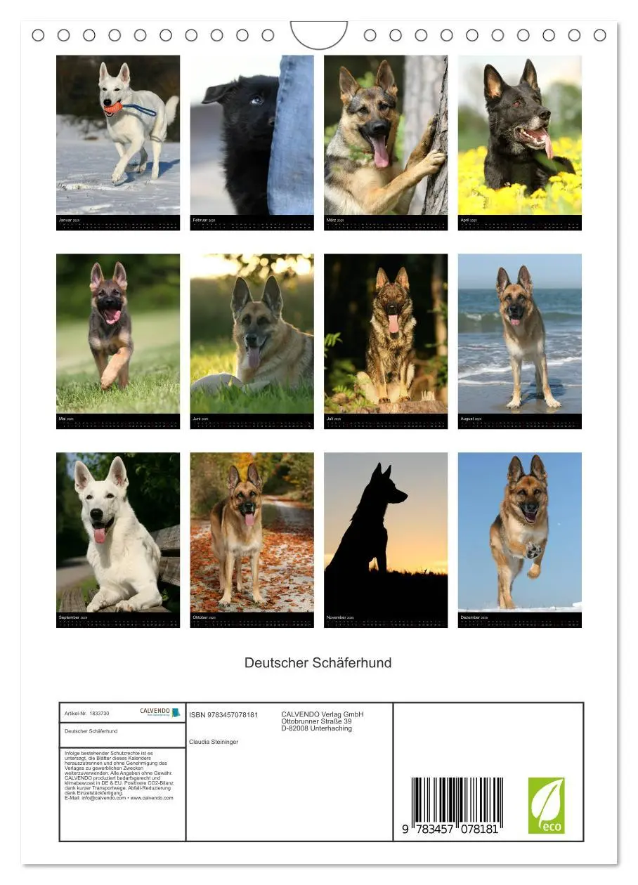 Bild: 9783457078181 | Deutscher Schäferhund (Wandkalender 2025 DIN A4 hoch), CALVENDO...