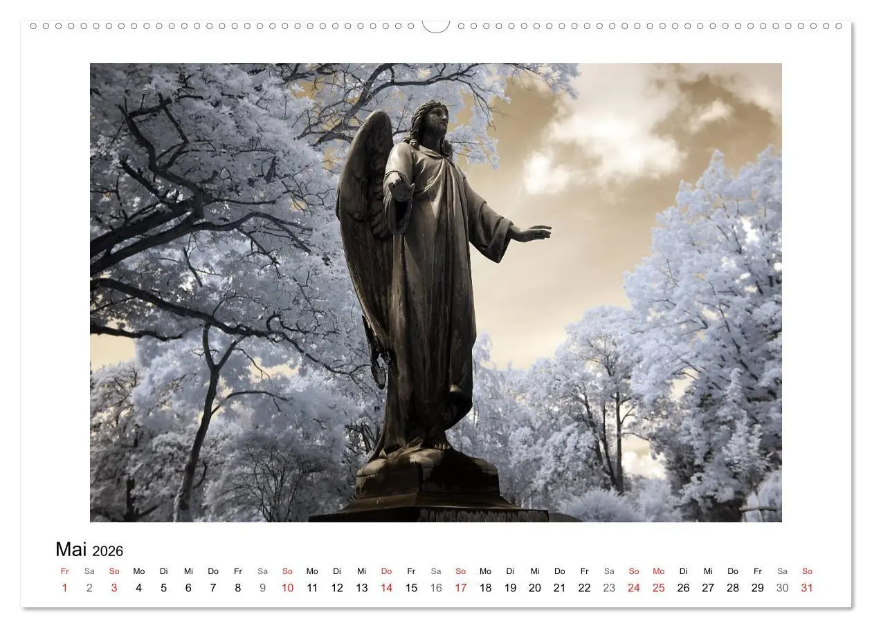 Bild: 9783457768181 | your guardian angel - Dein Schutzengel für jeden Tag (hochwertiger...