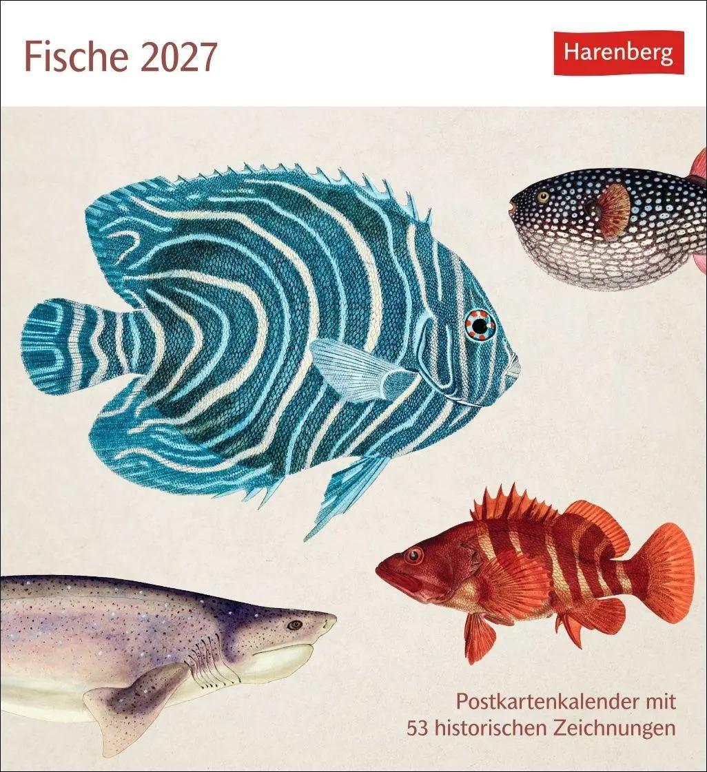 Cover: 9783840038181 | Fische Postkartenkalender 2027 - Postkartenkalender mit 53...