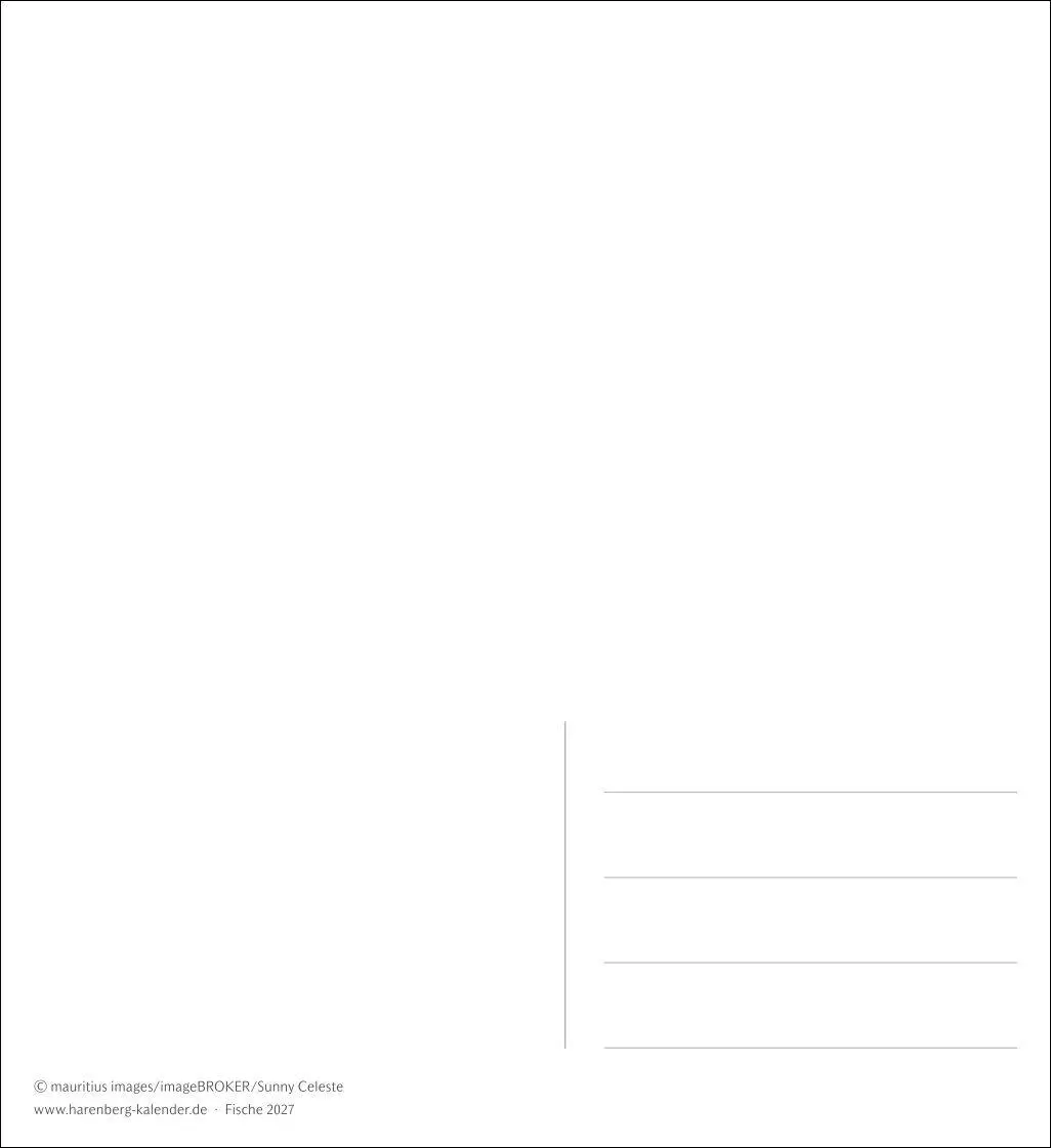 Bild: 9783840038181 | Fische Postkartenkalender 2027 - Postkartenkalender mit 53...