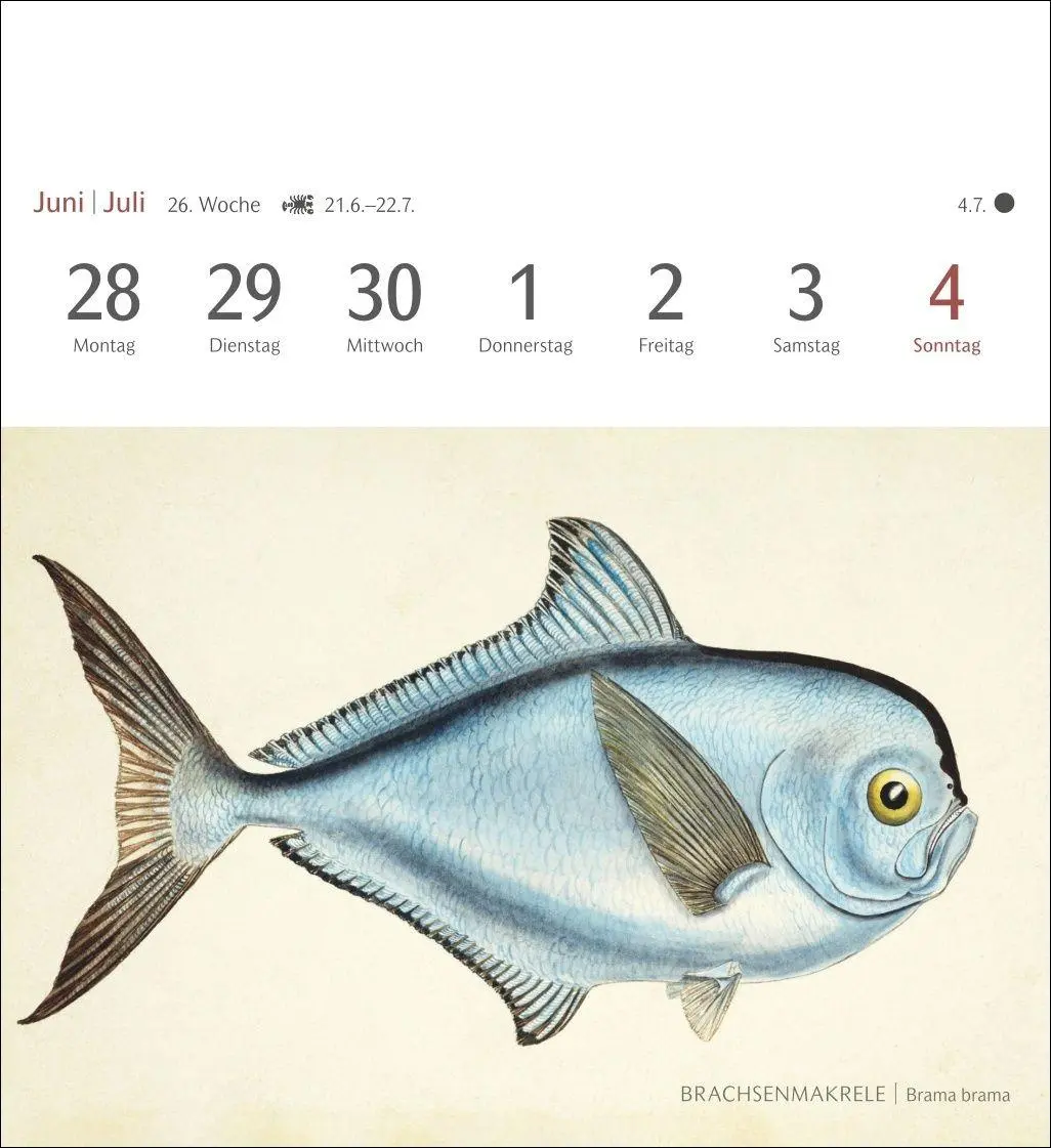 Bild: 9783840038181 | Fische Postkartenkalender 2027 - Postkartenkalender mit 53...