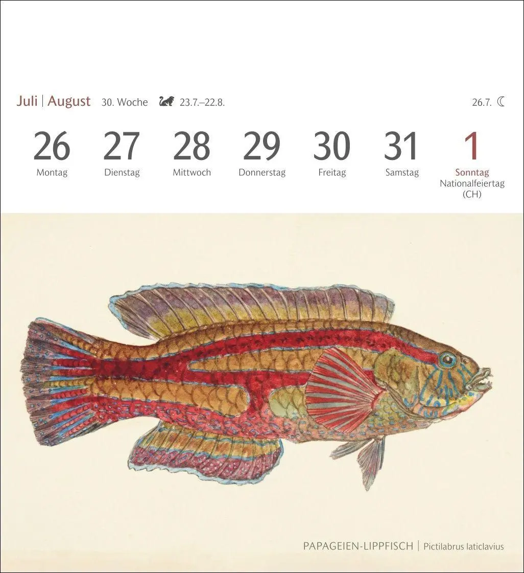 Bild: 9783840038181 | Fische Postkartenkalender 2027 - Postkartenkalender mit 53...