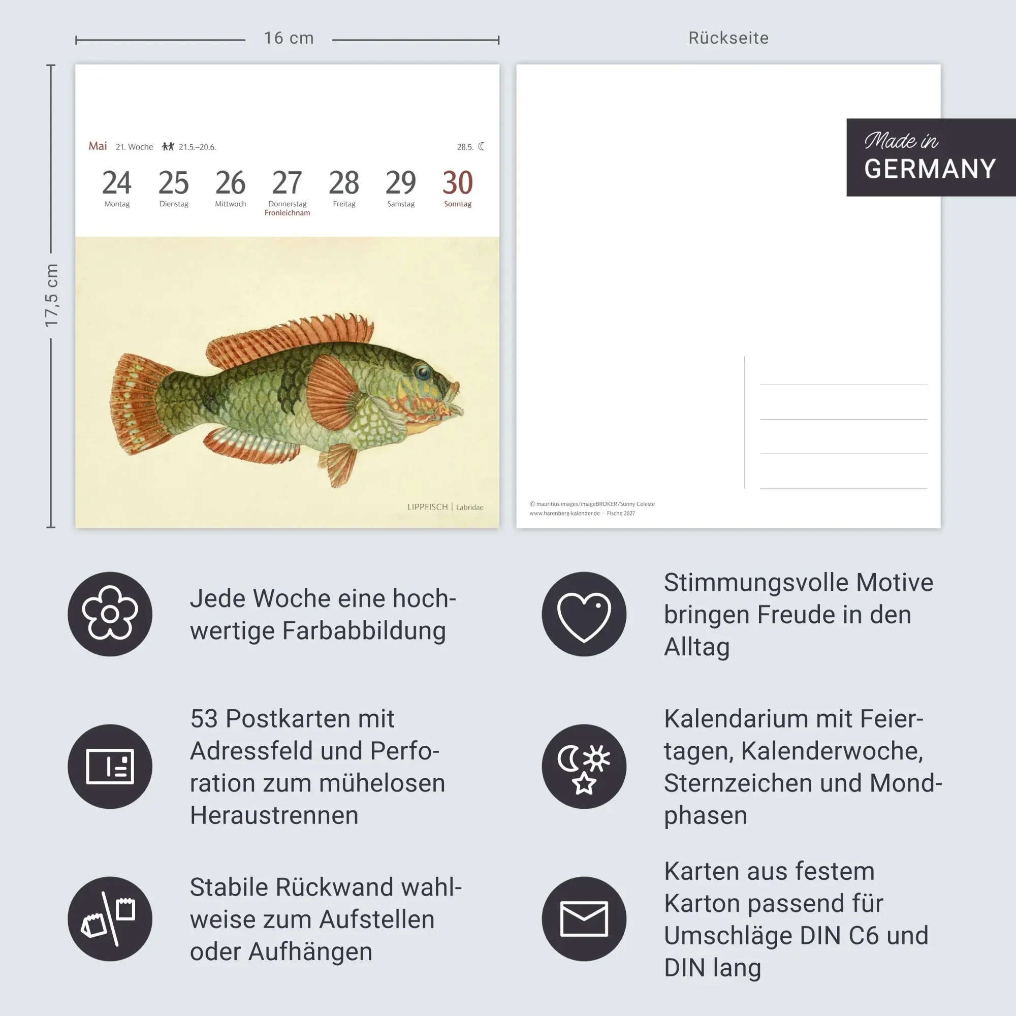 Bild: 9783840038181 | Fische Postkartenkalender 2027 - Postkartenkalender mit 53...