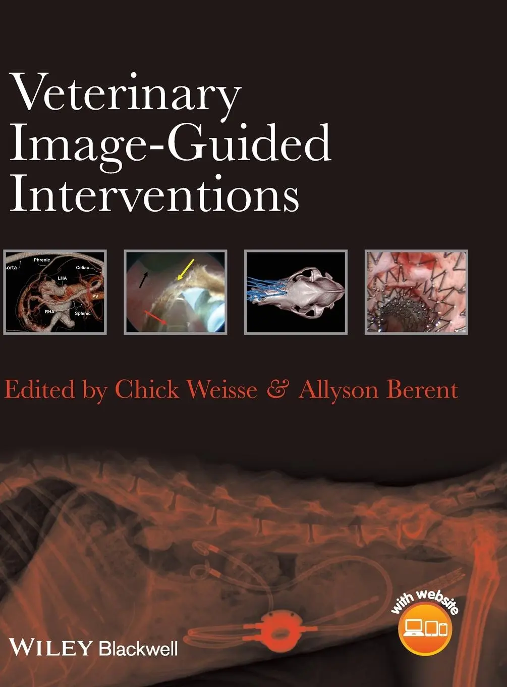 Cover: 9781118378281 | Veterinary Image-Guided Interventions | Chick Weisse (u. a.) | Buch