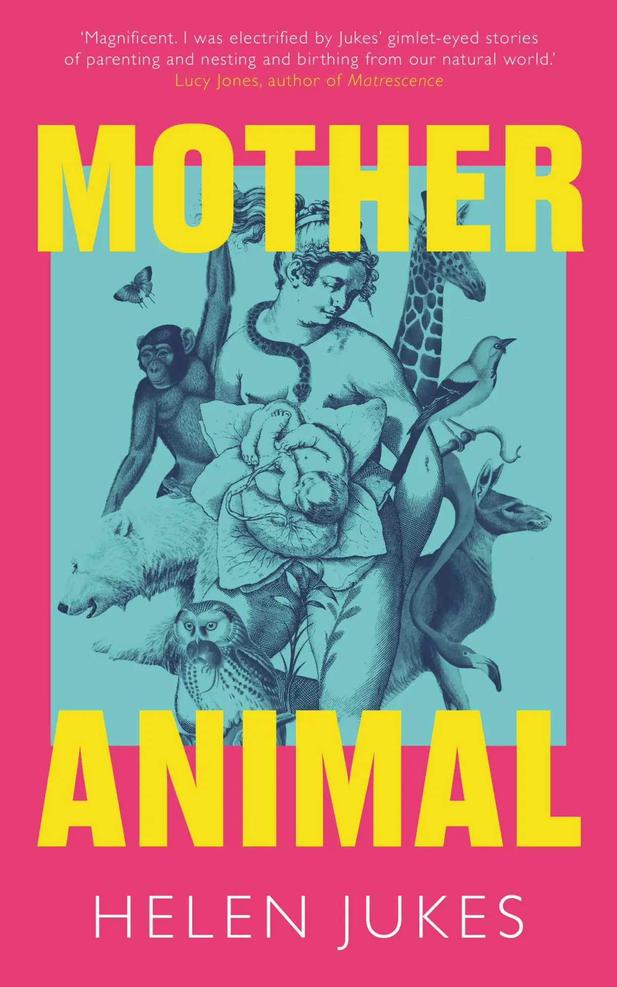 Cover: 9781783968381 | Mother Animal | Helen Jukes | Buch | Englisch | 2025