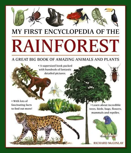 Cover: 9781861478481 | My First Encyclopedia of the Rainforest | Richard Mcginlay | Buch