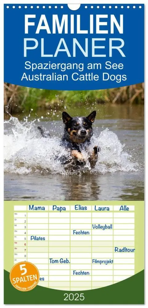 Cover: 9783457118481 | Familienplaner 2025 - Spaziergang am See Australian Cattle Dogs mit...