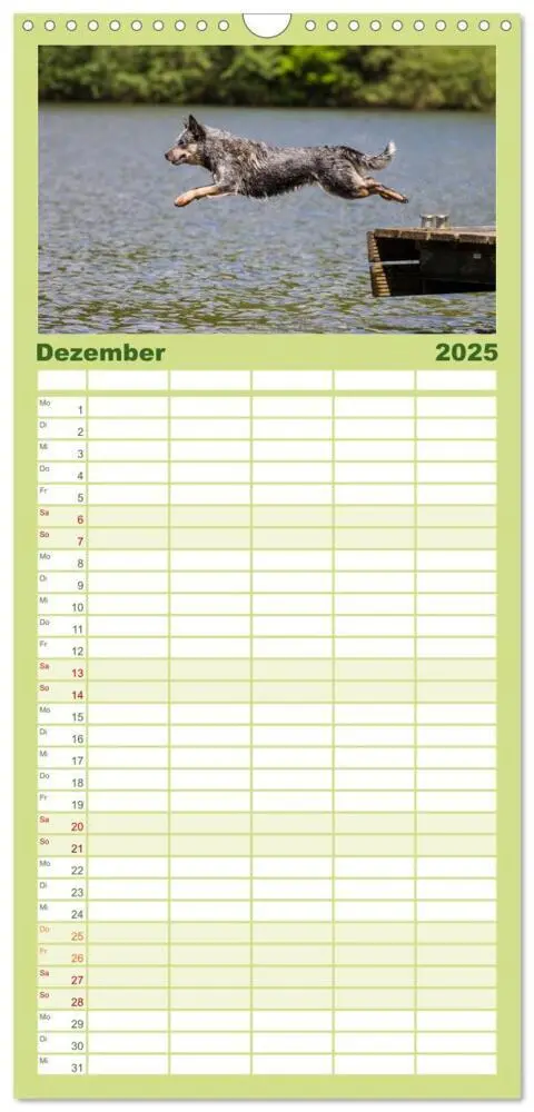 Bild: 9783457118481 | Familienplaner 2025 - Spaziergang am See Australian Cattle Dogs mit...