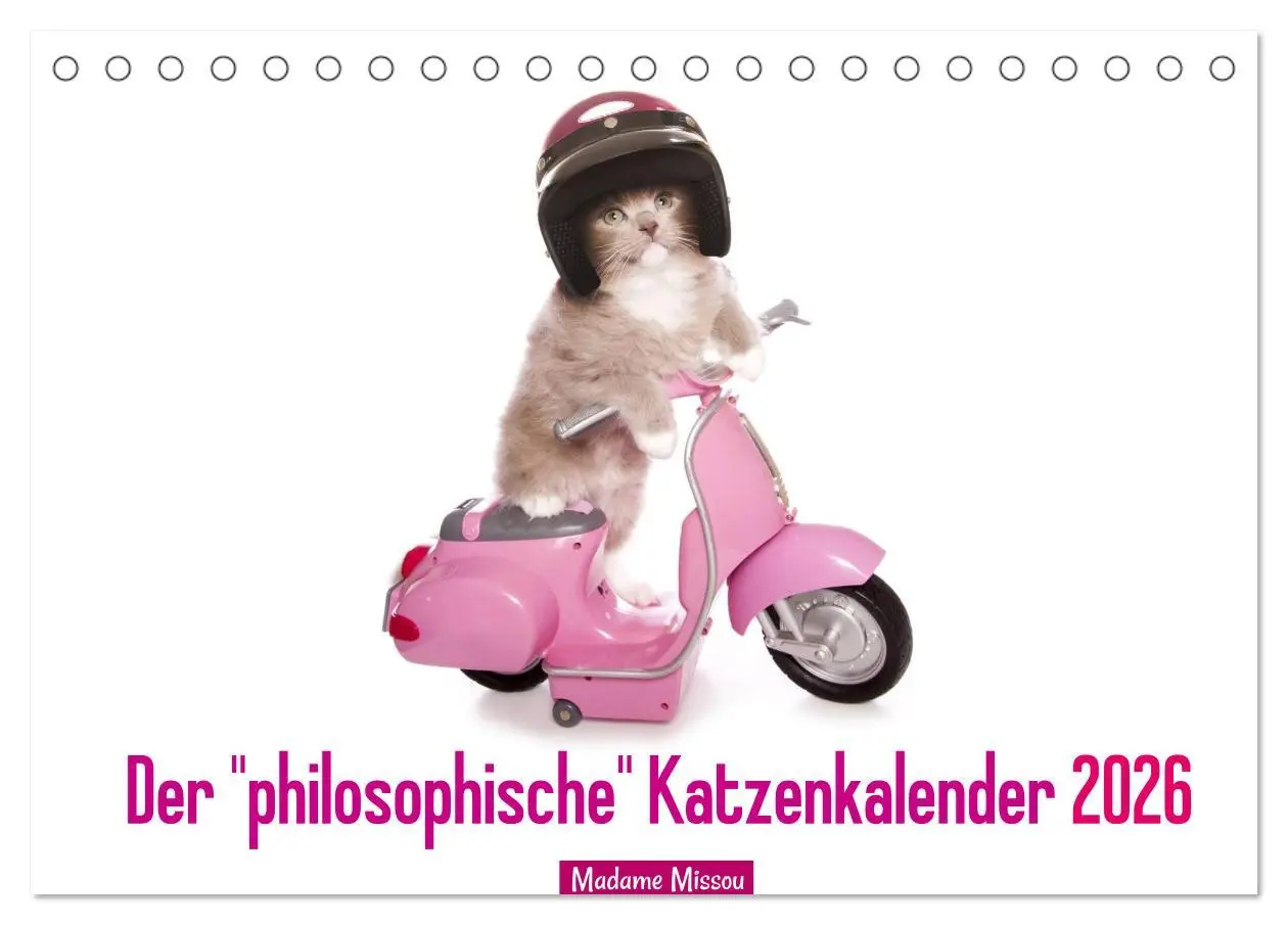 Cover: 9783516068481 | Der "philosophische" Katzenkalender 2026 (Tischkalender 2026 DIN A5...