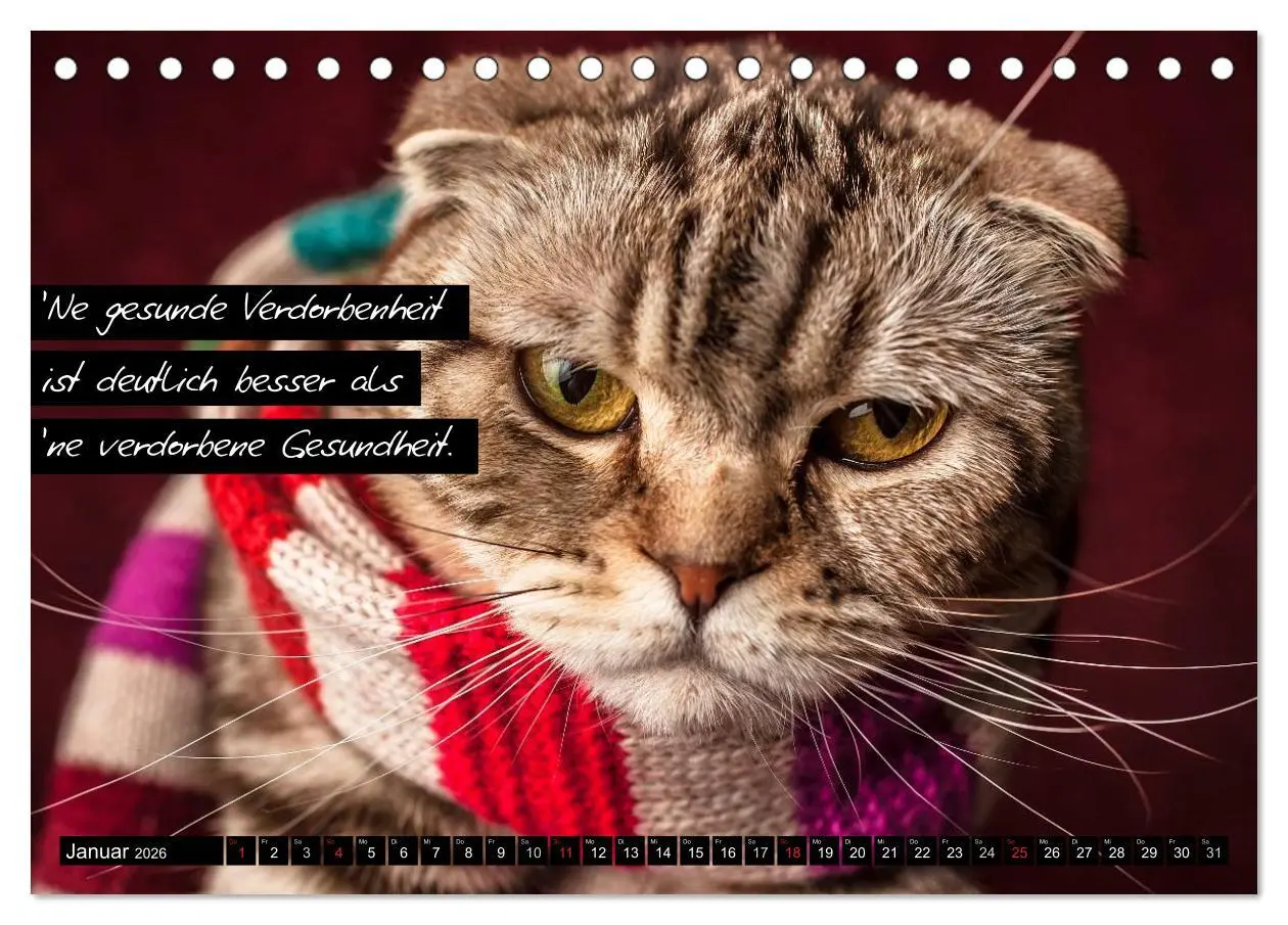 Bild: 9783516068481 | Der "philosophische" Katzenkalender 2026 (Tischkalender 2026 DIN A5...