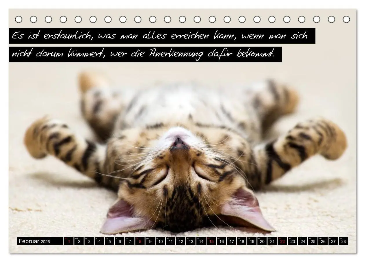 Bild: 9783516068481 | Der "philosophische" Katzenkalender 2026 (Tischkalender 2026 DIN A5...