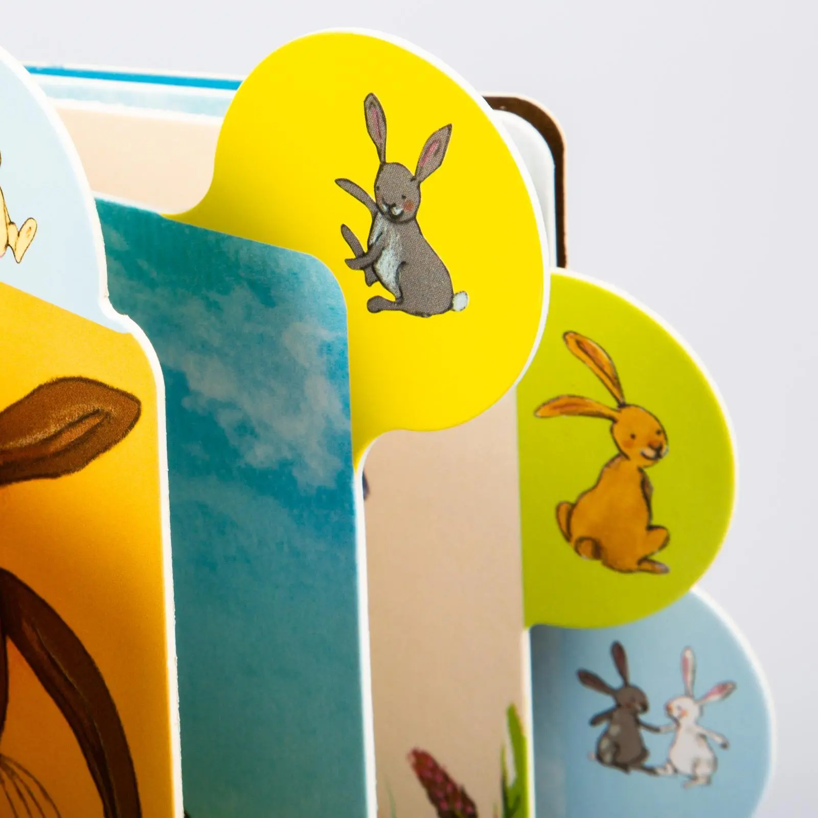 Bild: 9783551168481 | Alle meine Kuschelhäschen | Buntes Registerbuch für kleine Hände