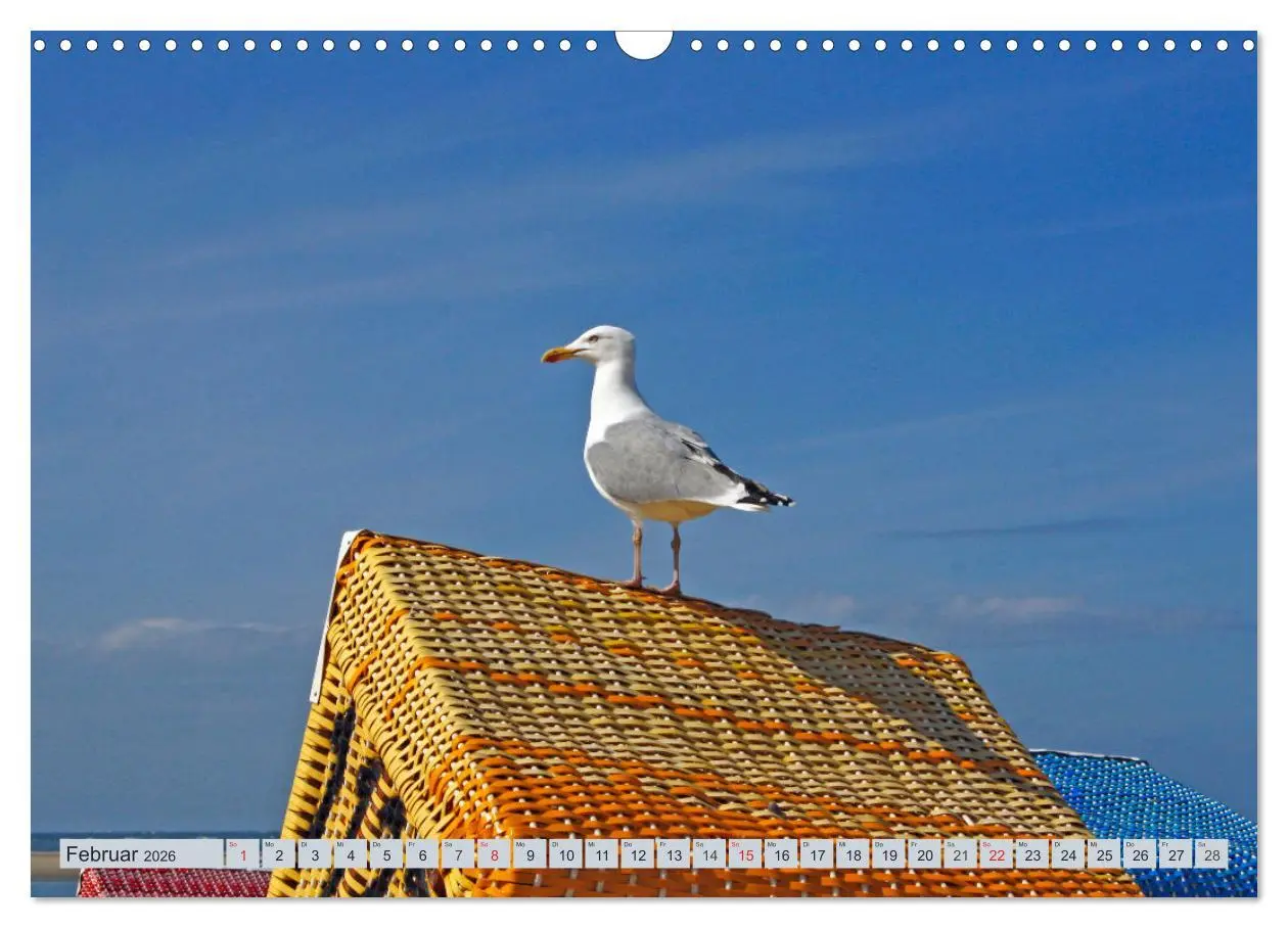 Bild: 9783457728581 | Langeoog - Natur Pur (Wandkalender 2026 DIN A3 quer), CALVENDO...