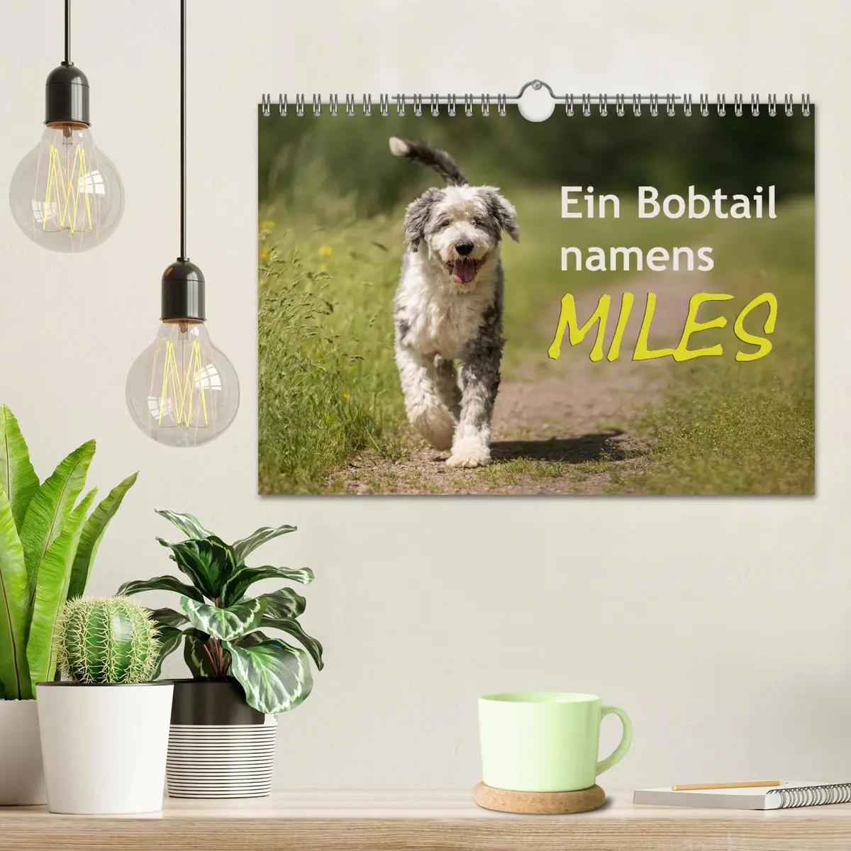 Bild: 9783516058581 | Ein Bobtail namens Miles (Wandkalender 2026 DIN A4 quer), CALVENDO...