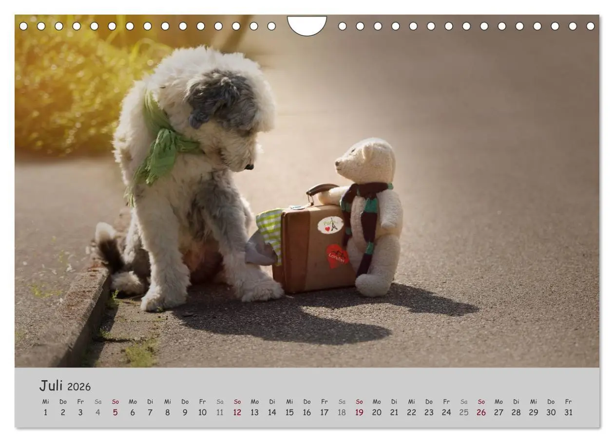 Bild: 9783516058581 | Ein Bobtail namens Miles (Wandkalender 2026 DIN A4 quer), CALVENDO...