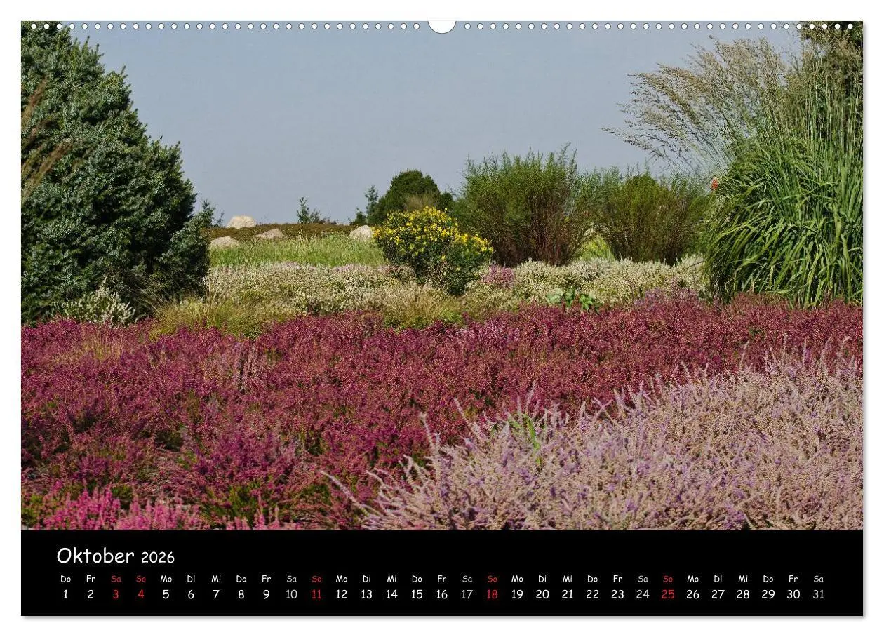 Bild: 9783516118681 | Findlingspark Nochten 2026 (Wandkalender 2026 DIN A2 quer),...