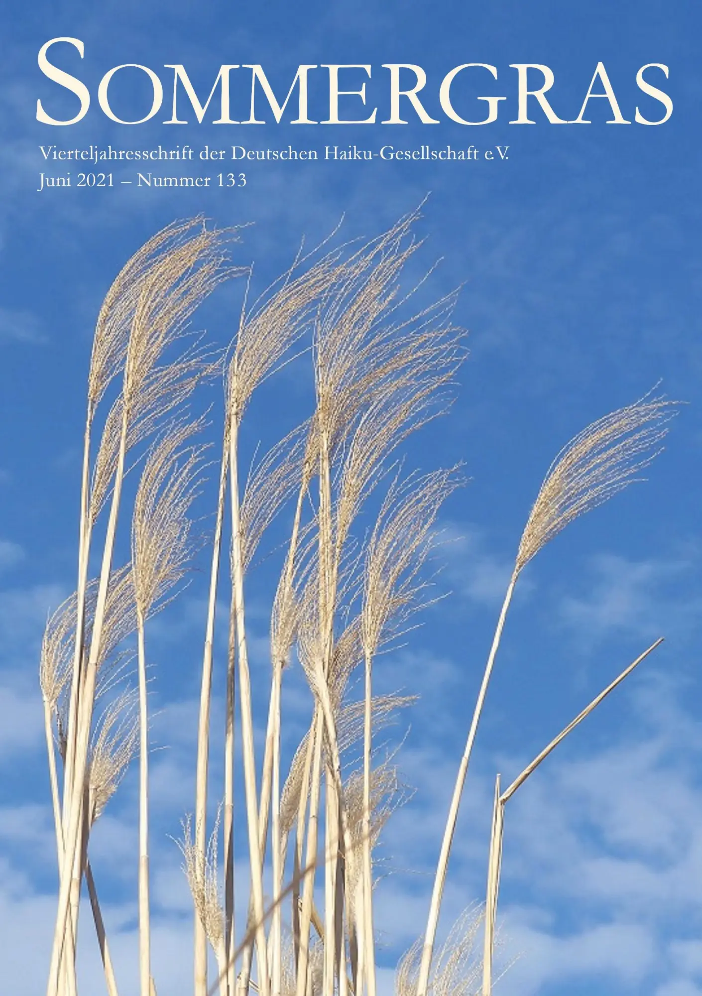 Cover: 9783751978781 | Sommergras 133 | Vierteljahreszeitschrift der DHG | (Hrsg. | Buch