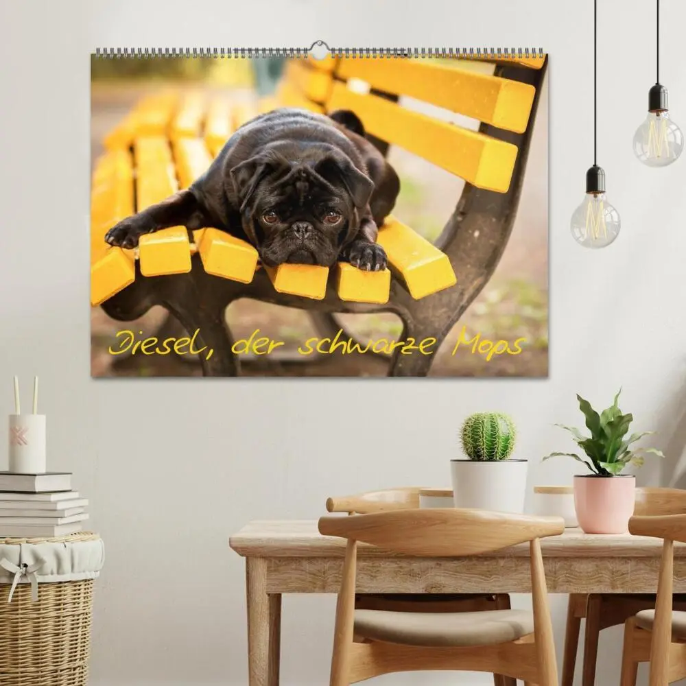 Bild: 9783516028881 | Diesel, der schwarze Mops (Wandkalender 2026 DIN A2 quer), CALVENDO...