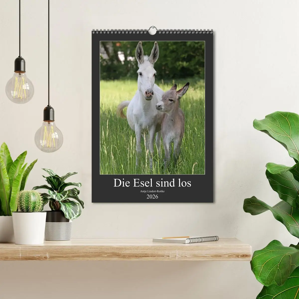 Bild: 9783516408881 | Die Esel sind los (Wandkalender 2026 DIN A3 hoch), CALVENDO...
