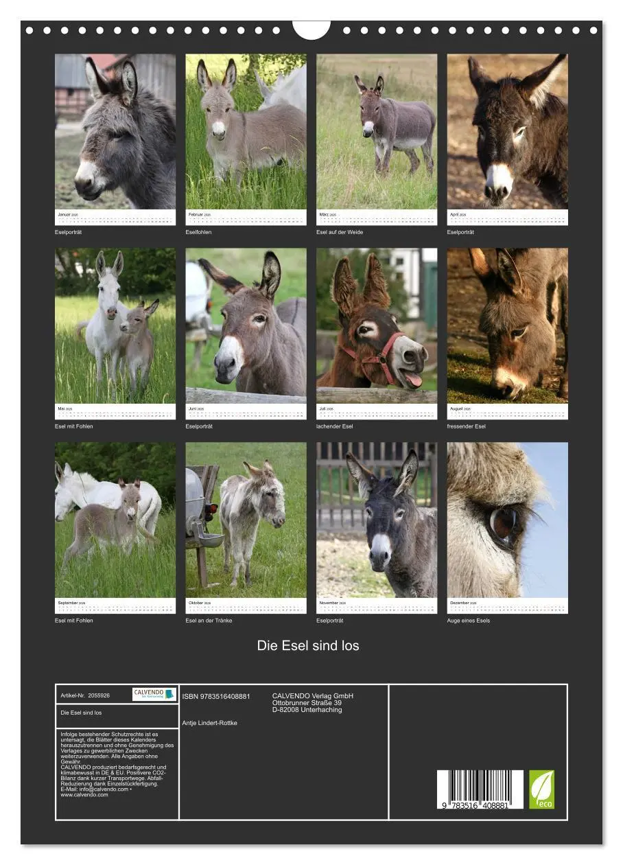 Bild: 9783516408881 | Die Esel sind los (Wandkalender 2026 DIN A3 hoch), CALVENDO...