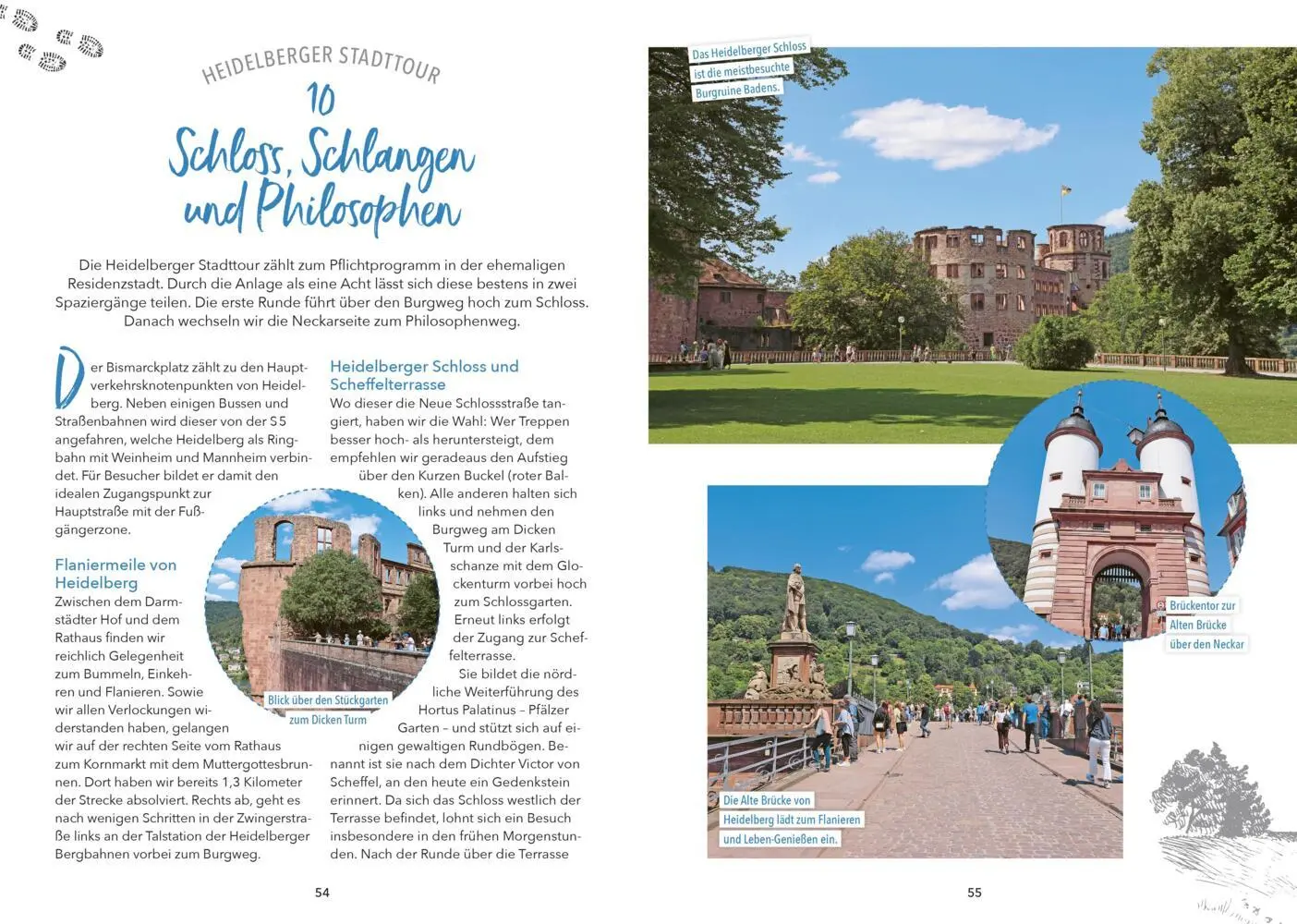 Bild: 9783862468881 | Erlebnis-Wanderungen in und um Heidelberg | Freudenthal | Taschenbuch