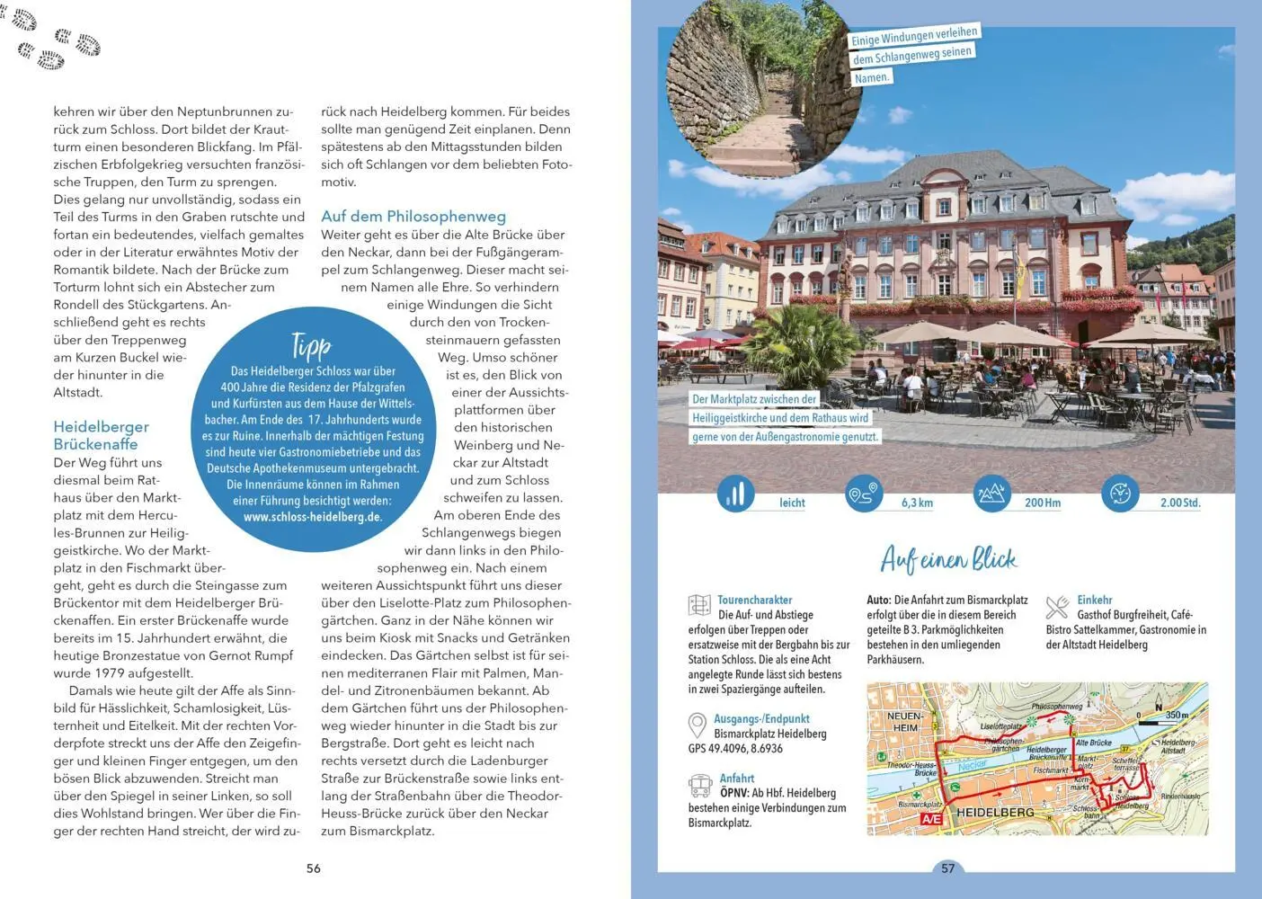Bild: 9783862468881 | Erlebnis-Wanderungen in und um Heidelberg | Freudenthal | Taschenbuch