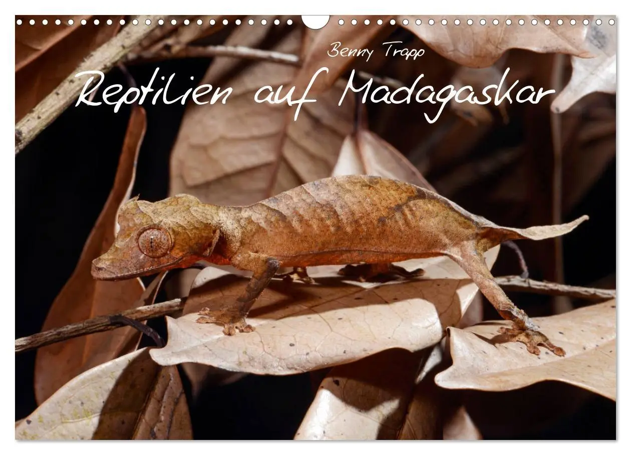 Cover: 9783457928981 | Reptilien auf Madagaskar (Wandkalender 2026 DIN A3 quer), CALVENDO...