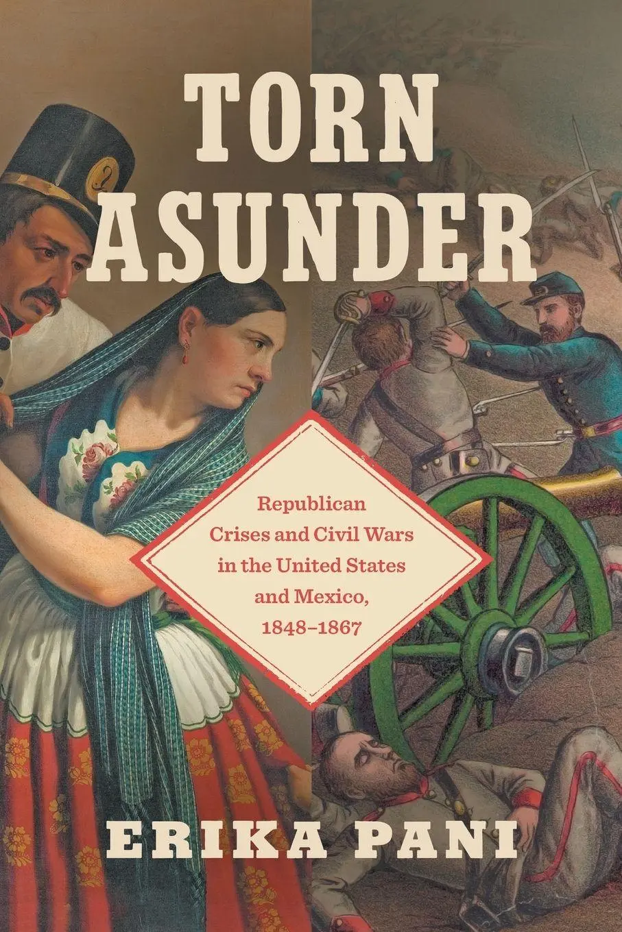Cover: 9781469689081 | Torn Asunder | Erika Pani | Taschenbuch | Einband - flex.(Paperback)
