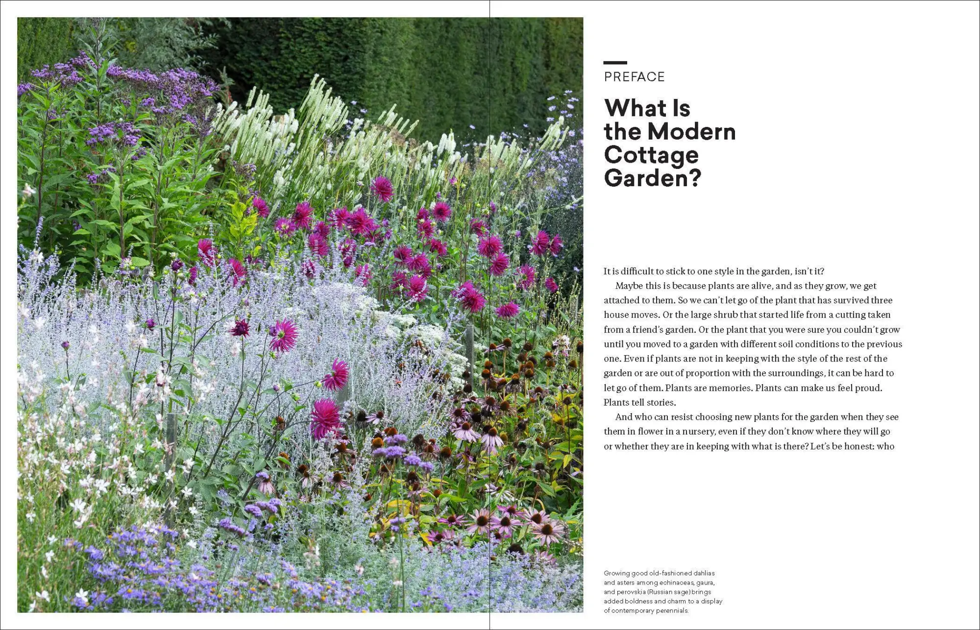 Bild: 9781604699081 | The Modern Cottage Garden | A Fresh Approach to a Classic Style | Buch