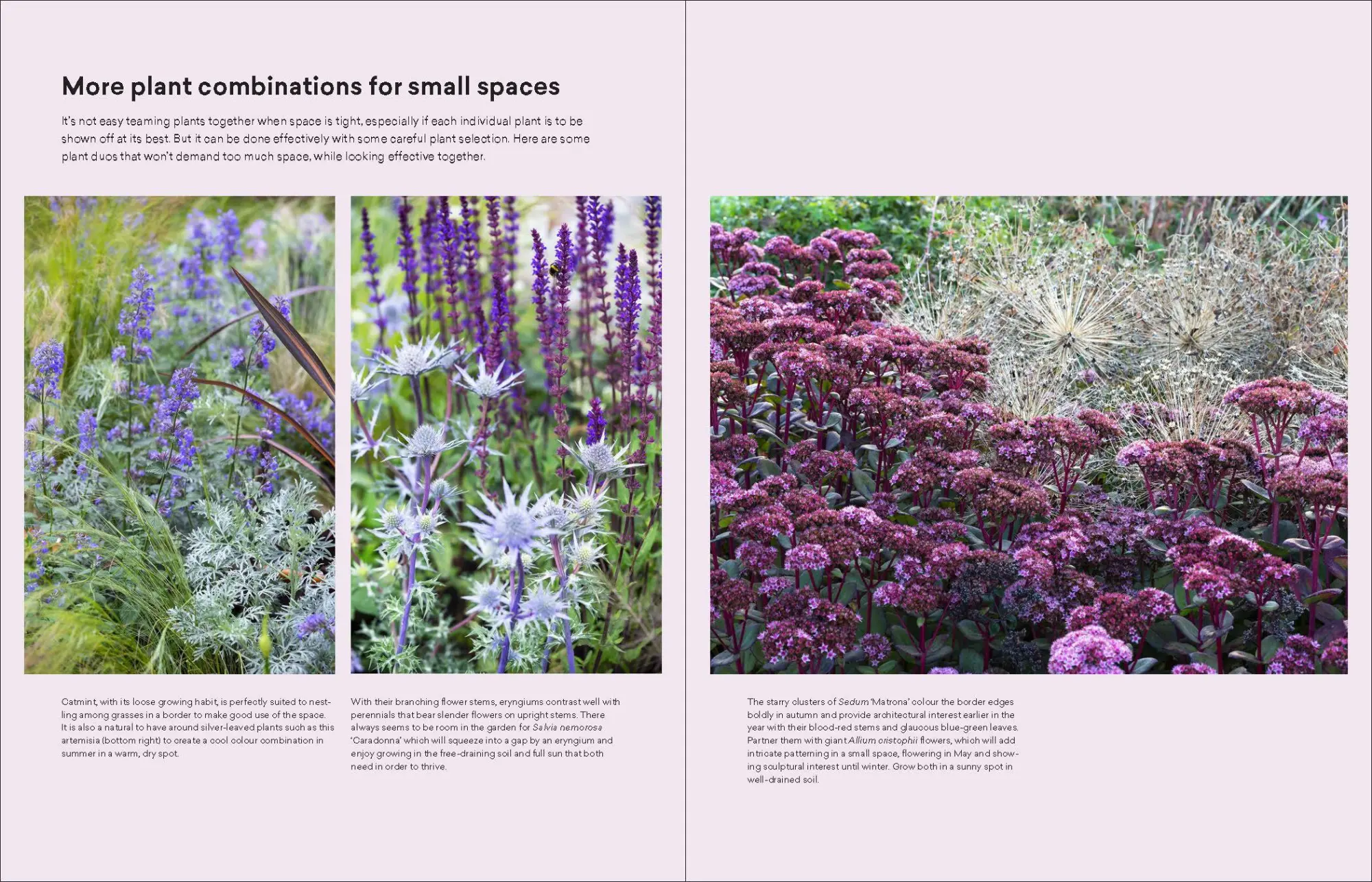 Bild: 9781604699081 | The Modern Cottage Garden | A Fresh Approach to a Classic Style | Buch