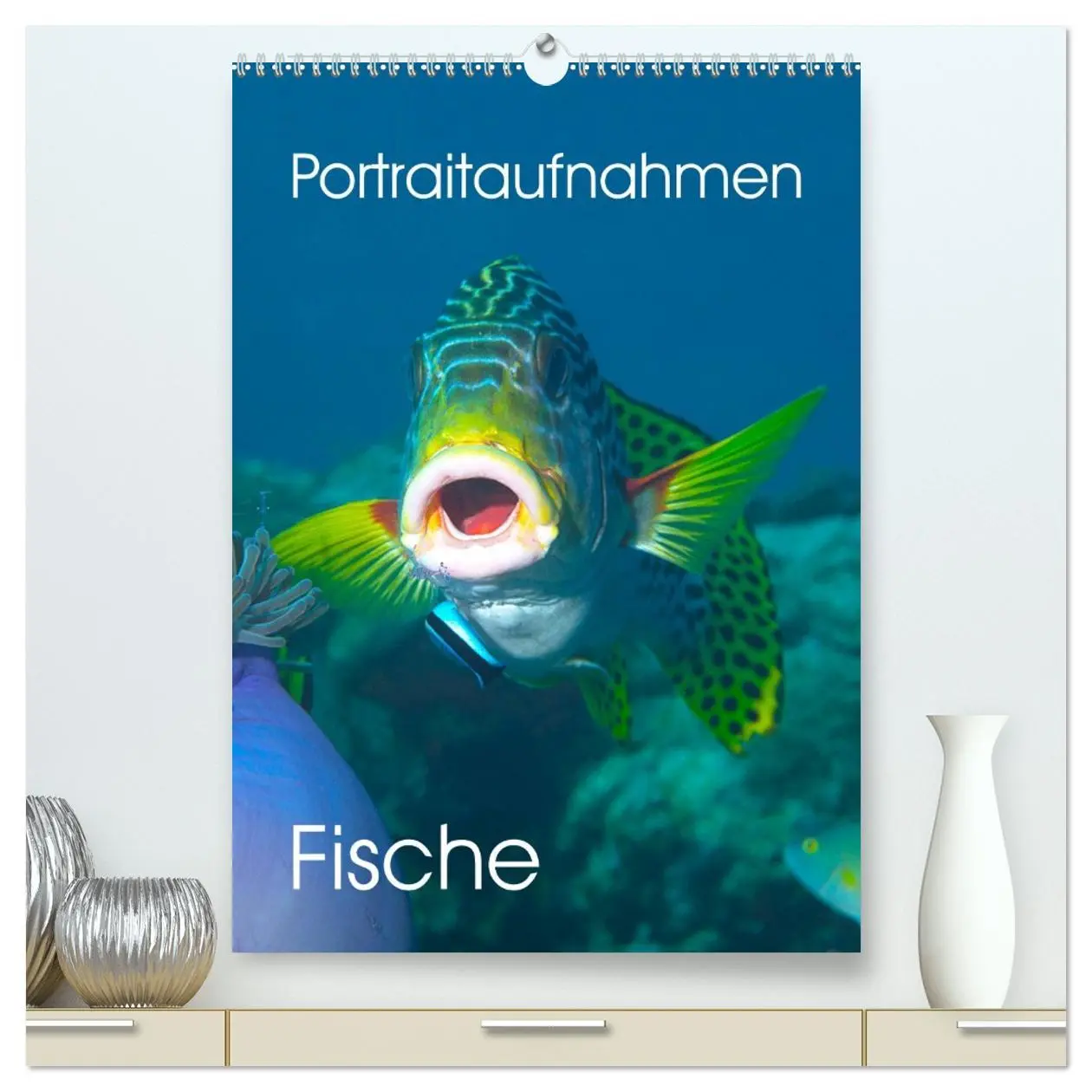 Cover: 9783516389081 | Portraitaufnahmen - Fische (hochwertiger Premium Wandkalender 2026...