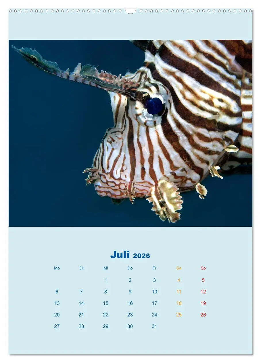 Bild: 9783516389081 | Portraitaufnahmen - Fische (hochwertiger Premium Wandkalender 2026...