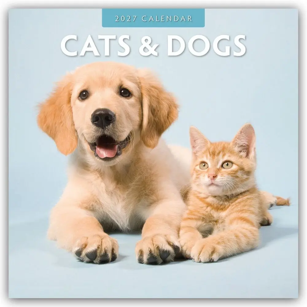 Cover: 9781804429181 | Cats &amp; Dogs - Katzen &amp; Hunde 2027 - 16-Monatskalender | Ltd | Kalender
