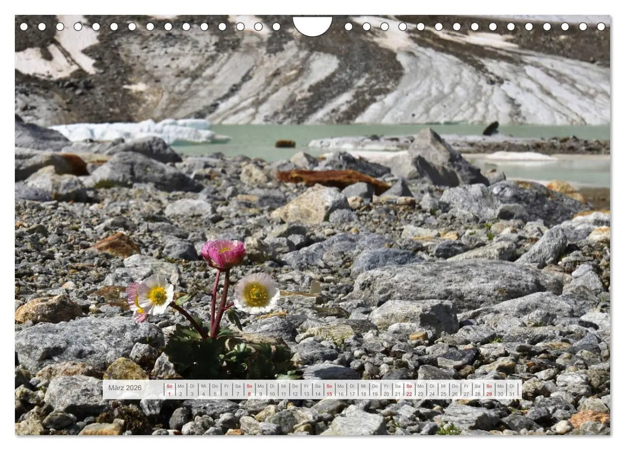 Bild: 9783457669181 | Hoch oben in den Ötztaler Alpen (Wandkalender 2026 DIN A4 quer),...