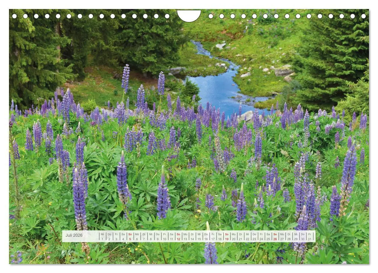 Bild: 9783457669181 | Hoch oben in den Ötztaler Alpen (Wandkalender 2026 DIN A4 quer),...