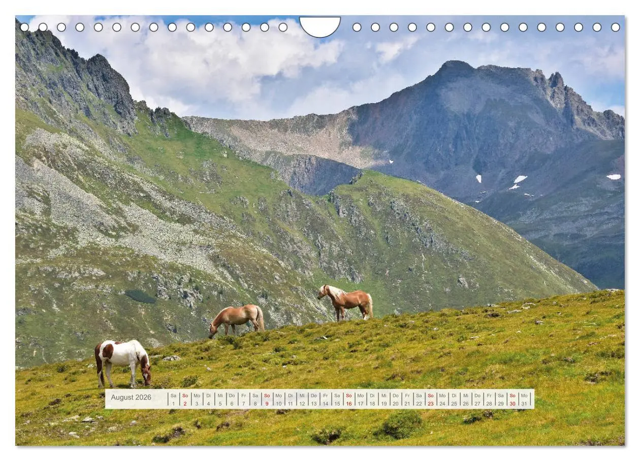 Bild: 9783457669181 | Hoch oben in den Ötztaler Alpen (Wandkalender 2026 DIN A4 quer),...