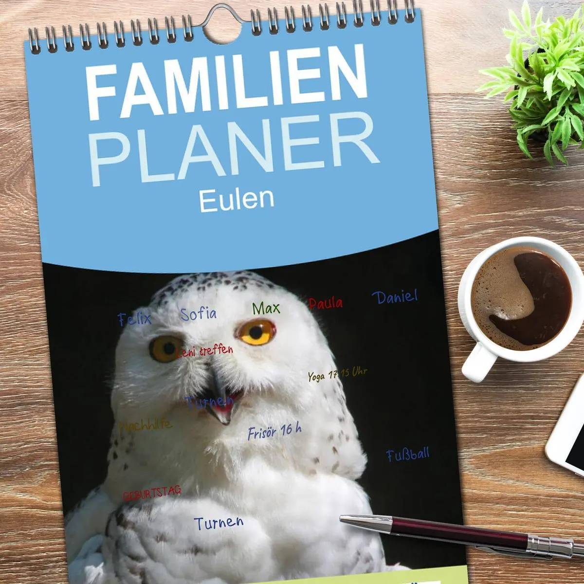Bild: 9783516519181 | Familienplaner 2026 - Eulen mit 5 Spalten (Wandkalender, 21 x 45...