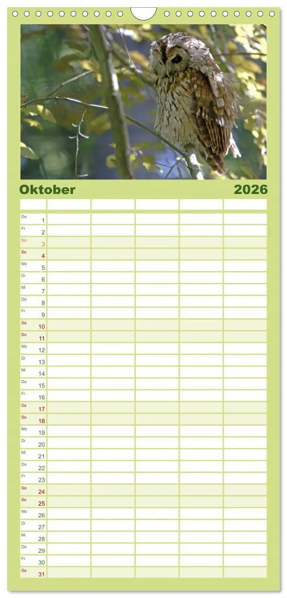 Bild: 9783516519181 | Familienplaner 2026 - Eulen mit 5 Spalten (Wandkalender, 21 x 45...