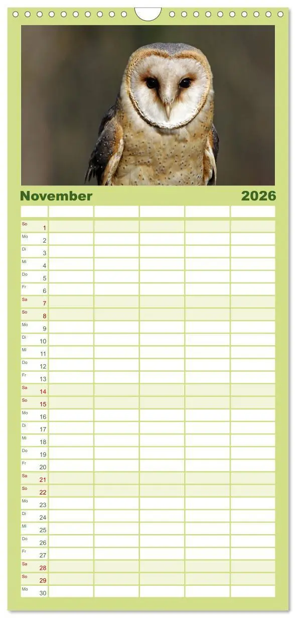 Bild: 9783516519181 | Familienplaner 2026 - Eulen mit 5 Spalten (Wandkalender, 21 x 45...