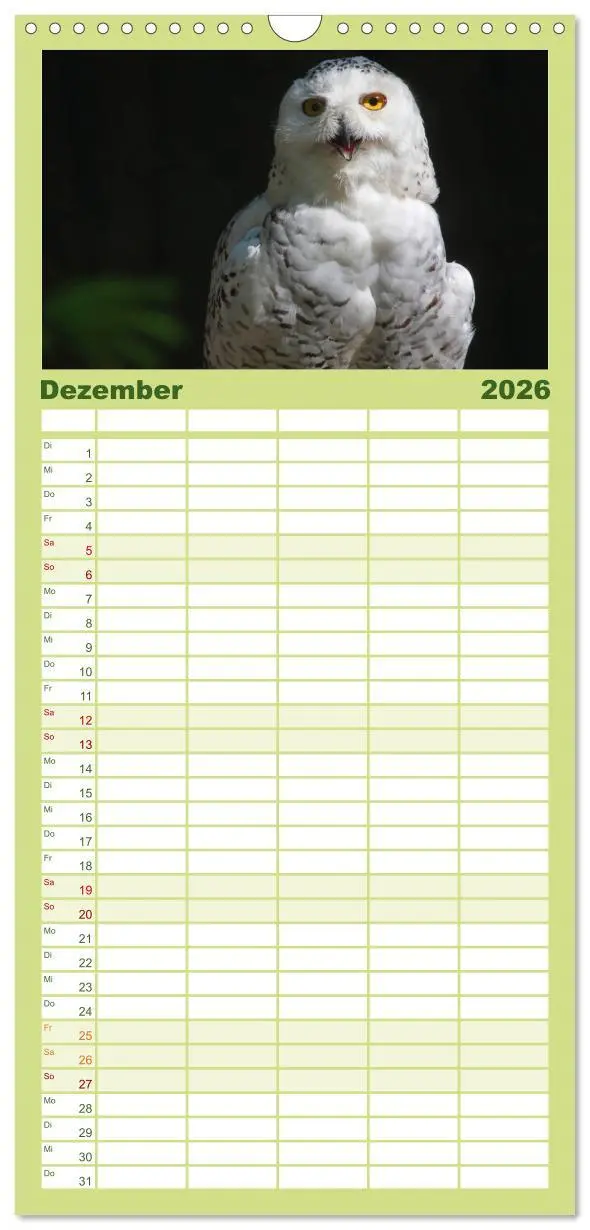 Bild: 9783516519181 | Familienplaner 2026 - Eulen mit 5 Spalten (Wandkalender, 21 x 45...