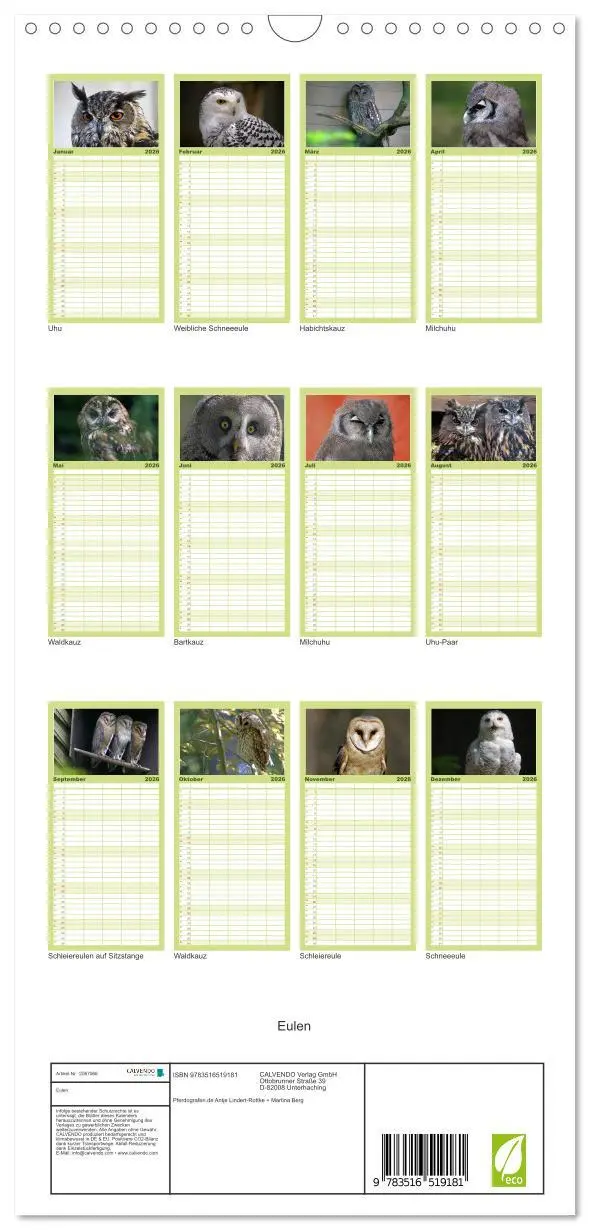 Bild: 9783516519181 | Familienplaner 2026 - Eulen mit 5 Spalten (Wandkalender, 21 x 45...
