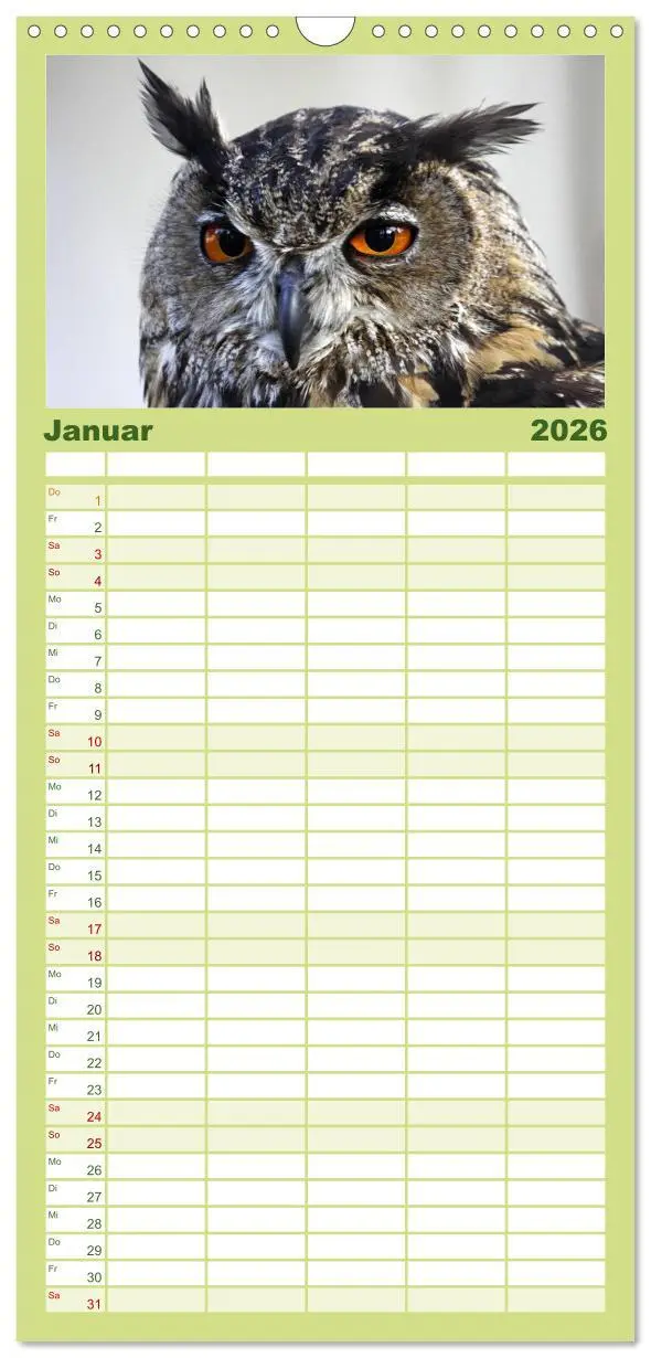 Bild: 9783516519181 | Familienplaner 2026 - Eulen mit 5 Spalten (Wandkalender, 21 x 45...