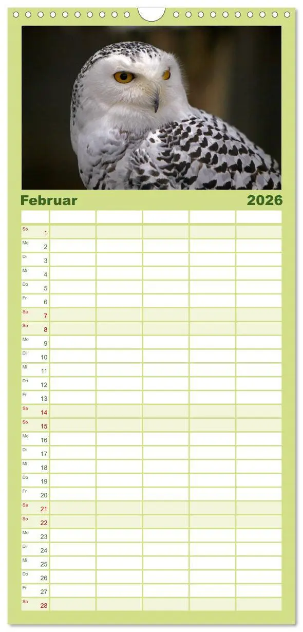 Bild: 9783516519181 | Familienplaner 2026 - Eulen mit 5 Spalten (Wandkalender, 21 x 45...