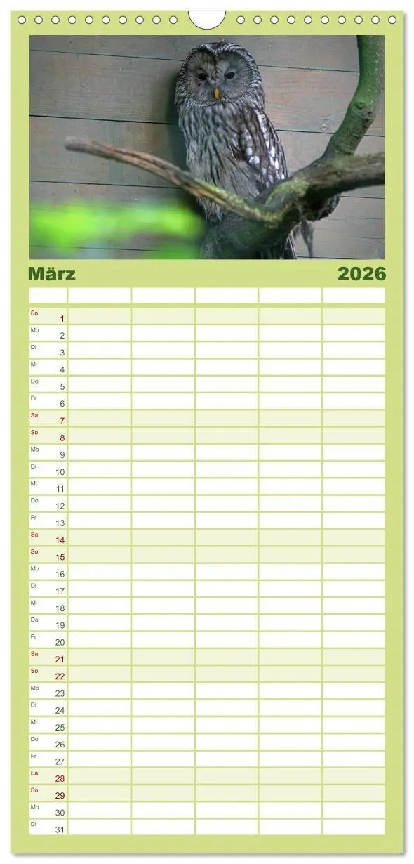 Bild: 9783516519181 | Familienplaner 2026 - Eulen mit 5 Spalten (Wandkalender, 21 x 45...