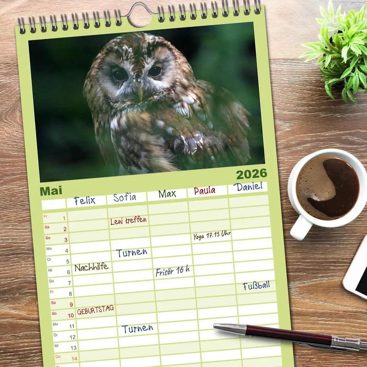 Bild: 9783516519181 | Familienplaner 2026 - Eulen mit 5 Spalten (Wandkalender, 21 x 45...